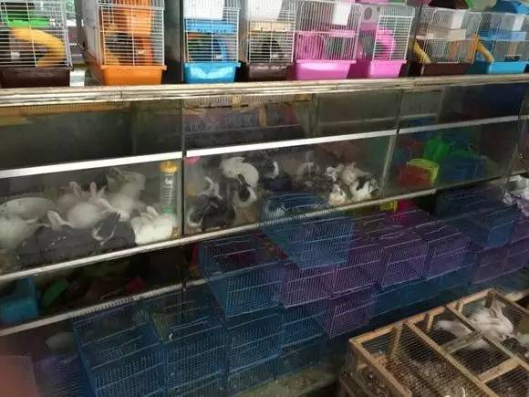 呕心整理！成都人年货采购地点最全攻略都在这！赶紧收藏！