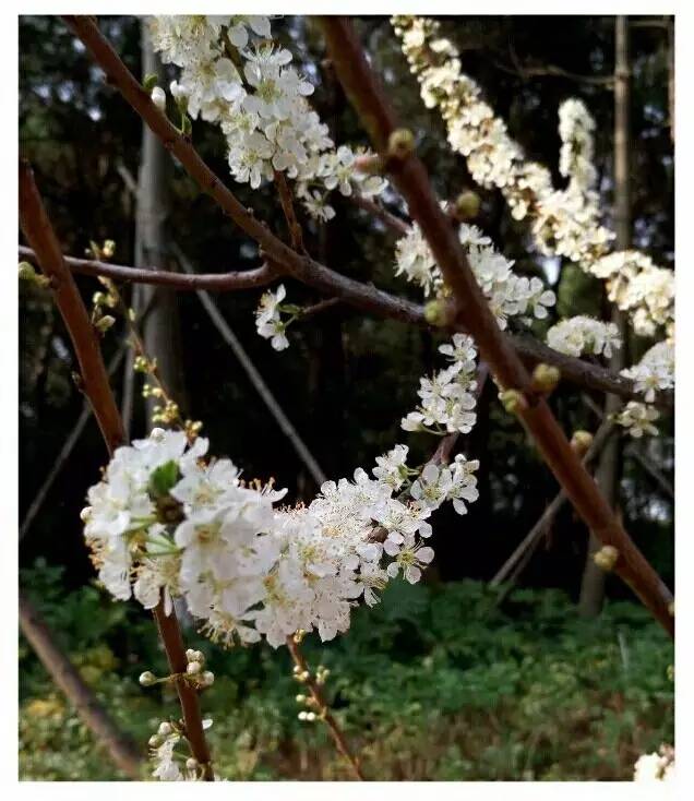 厦门有哪些山峰,厦门哪些山可以爬的