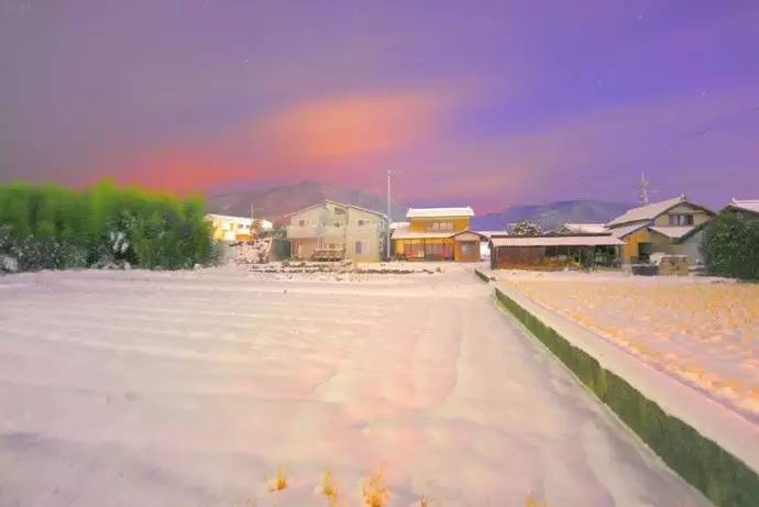 微观茶市丨古茶树安装GPS定位意义何在？