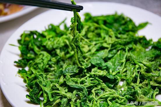 伦教这间店吃草、吃虫，竟然掠来了一波食客粉丝？