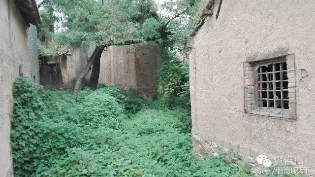 钟灵秀图片,钟灵秀一字马