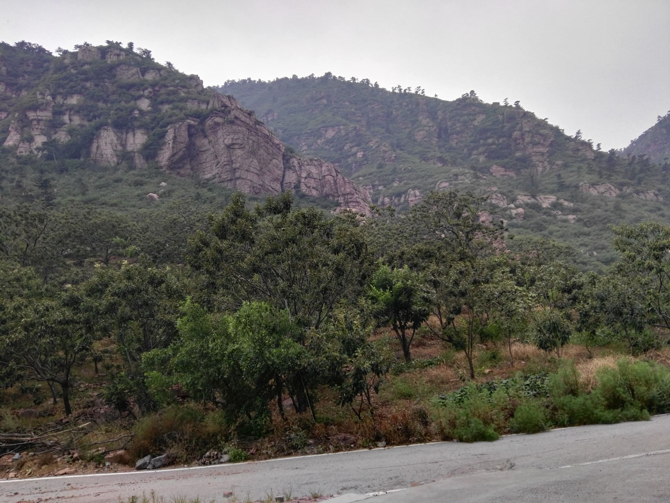 农村木材加工行业挣钱门路,现在什么行业最挣钱适合农村的