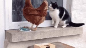 鸡年限量单品推荐,各大牌新年限量款