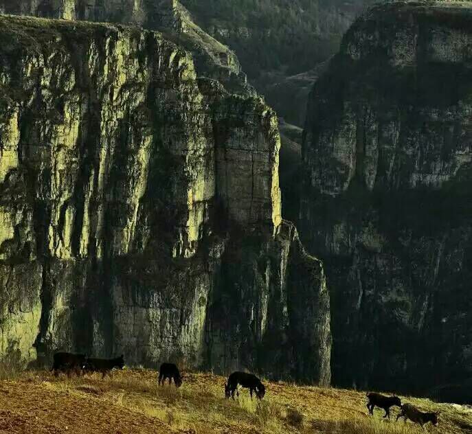 看完这些摄影作品点评，你的摄影技能会有大幅提升