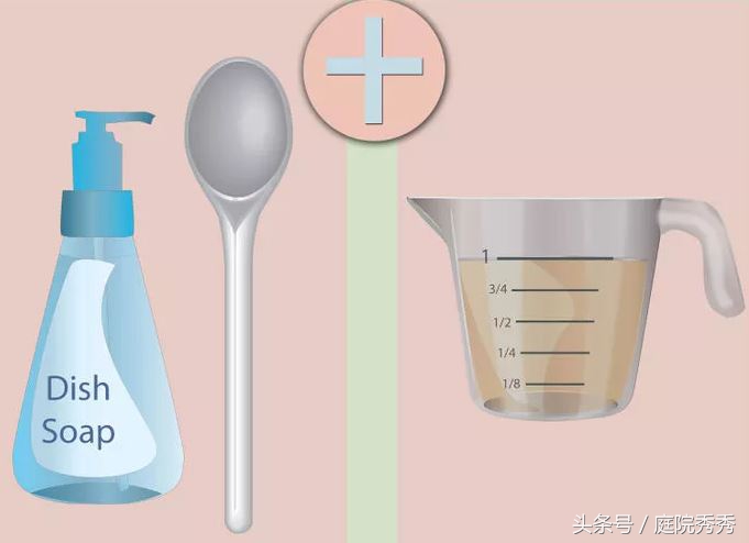 家庭园艺常用杀虫剂,固体杀虫剂使用方法养花