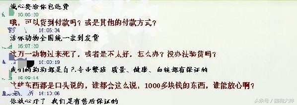 从网上买狗狗需要注意什么,如何在网上买狗狗不会上当