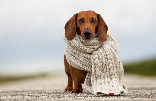 夏季白癜风如何防护,白癜风高发季节怎么预防