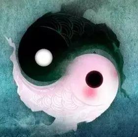 易经中的阴阳指的男人和女人,易经男女阴阳二合一之道