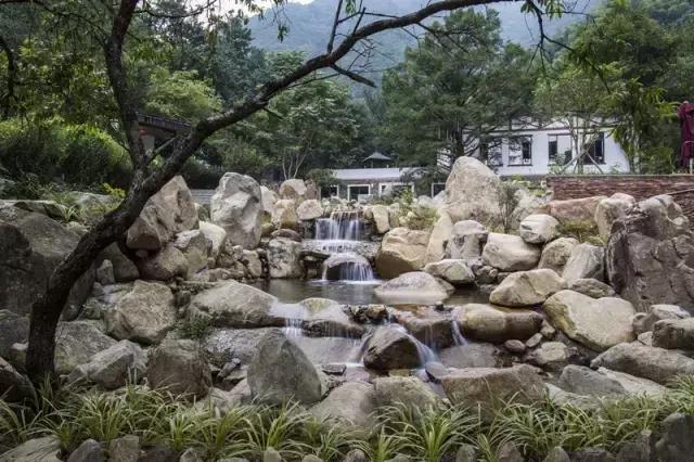 田螺姑娘在水里,水缸里的田螺姑娘