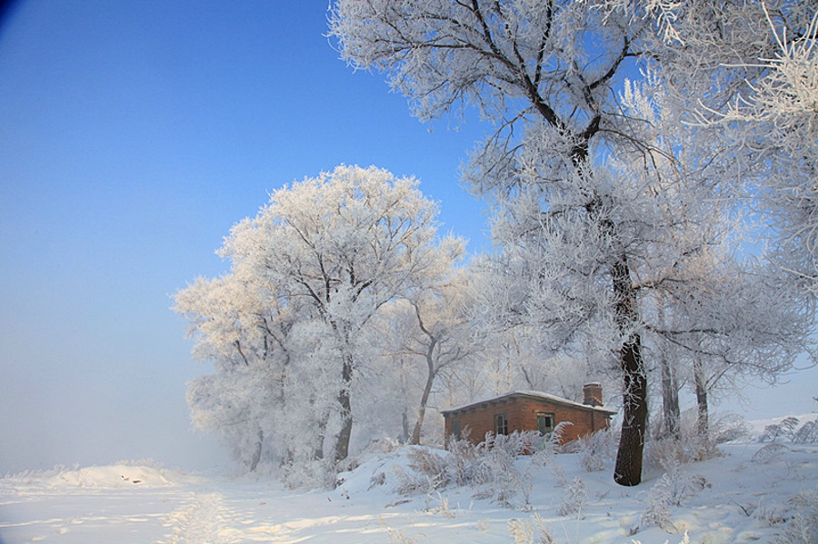 吉林雾凇岛的好看的雾凇倒影图片,吉林雾凇岛和雪谷雾凇岭