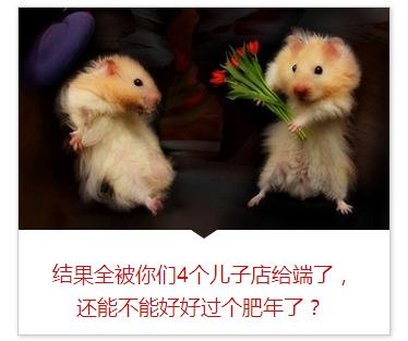 老鼠访谈录：你凭什么往发动机仓存花生？