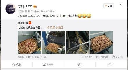 老鼠存花生被车主发现,老鼠在车里存一年花生被车主没收