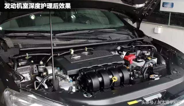 老鼠洞里挖出来花生,老鼠偷花生被发现