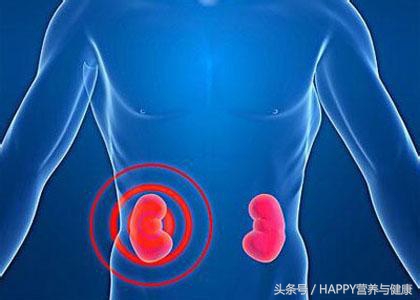尿频、尿血、泡沫多,身体里这个地方需要“好好维修”了!