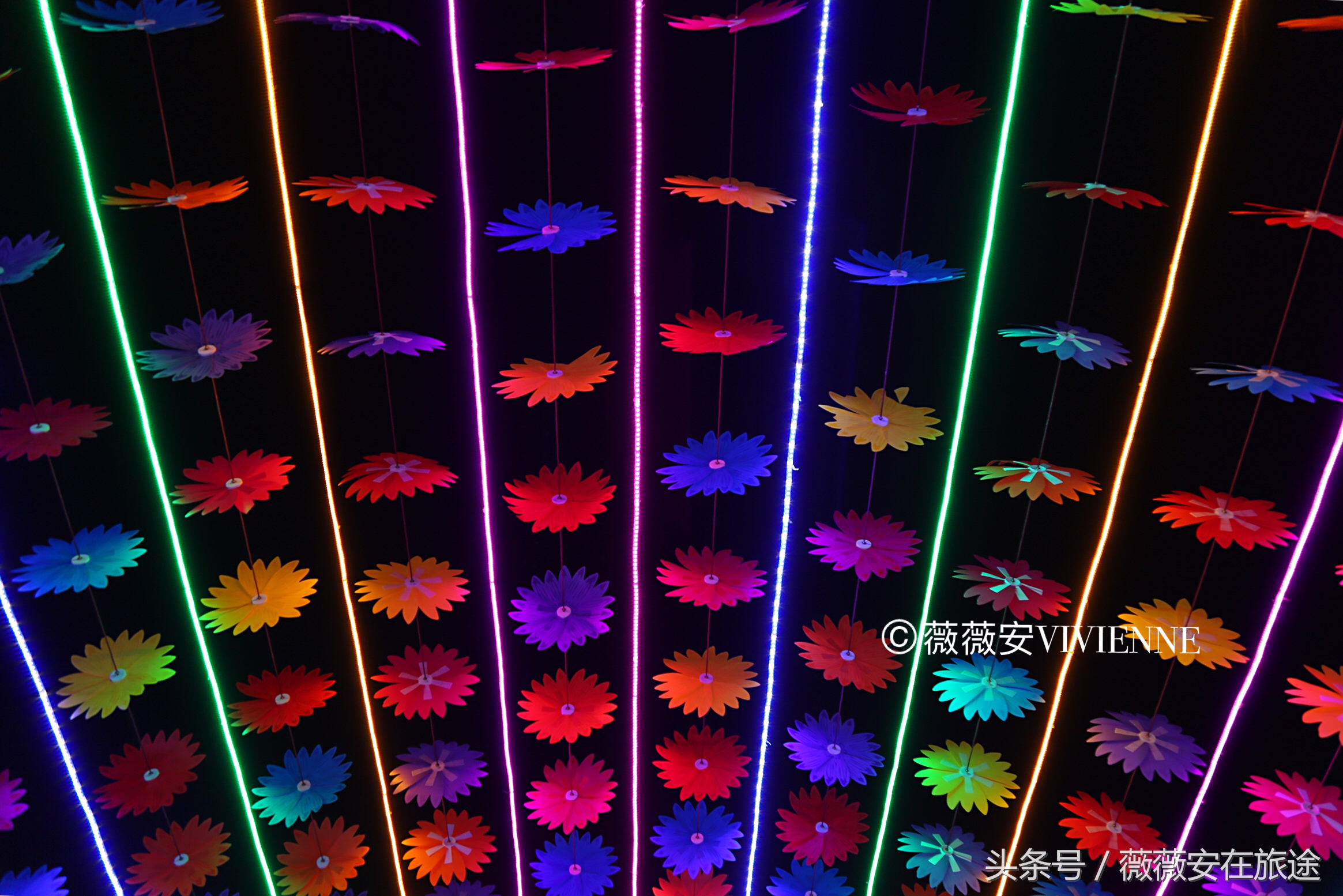 北国冰城之旅,奔赴冰城哈尔滨感受北国浪漫