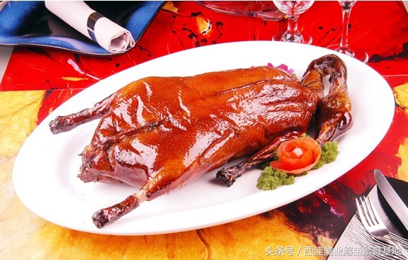 鹅肉的100种做法,关于鹅肉的美食有哪些