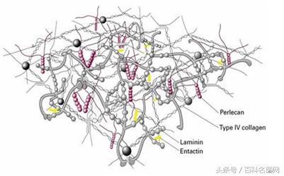 爱美的你不再害怕鱼尾纹,鱼尾纹如何去除不留痕迹