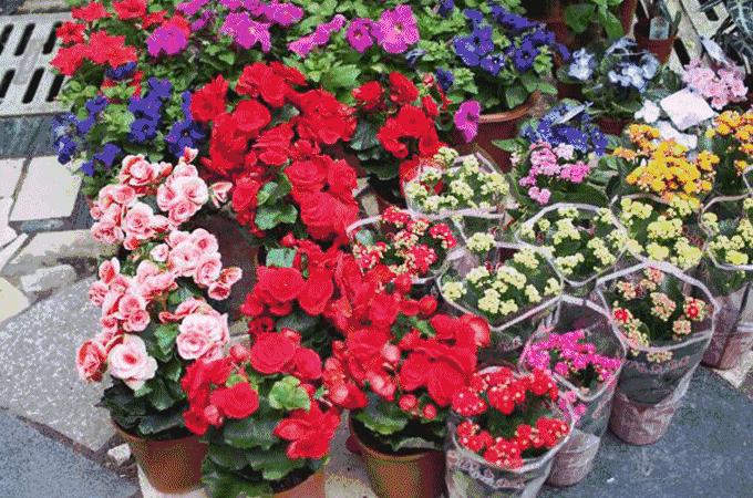 深圳年货地,深圳年货大全