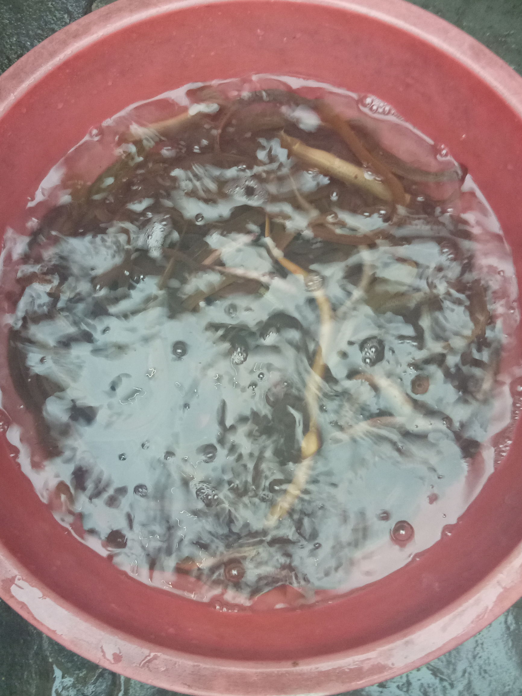 手竿鱼钩防挂底技巧,初学者钓鱼鱼竿线鱼钩怎么搭配