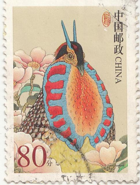 鸡为什么是最富裕的生肖,看似很弱鸡其实很猛的生肖