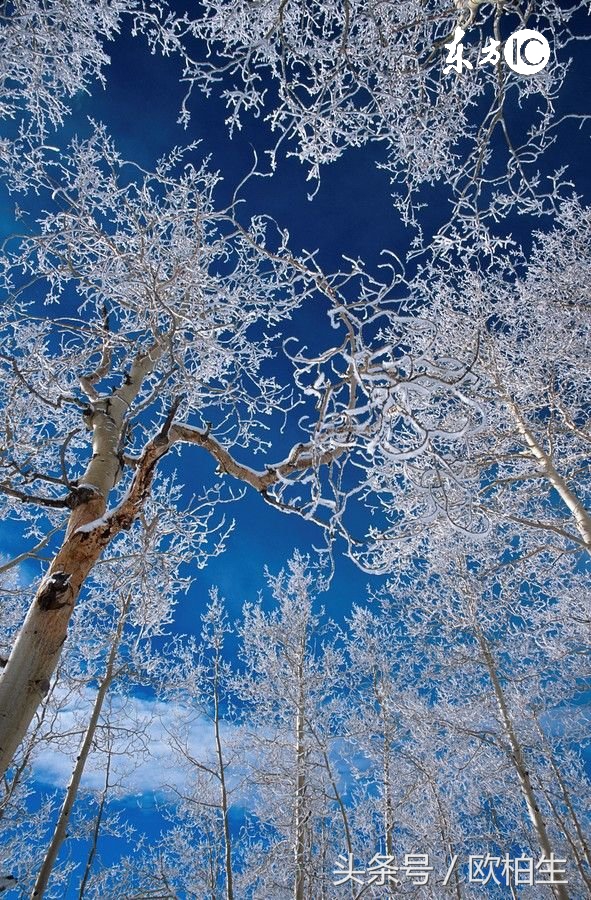 脂溢性皮炎可防可治