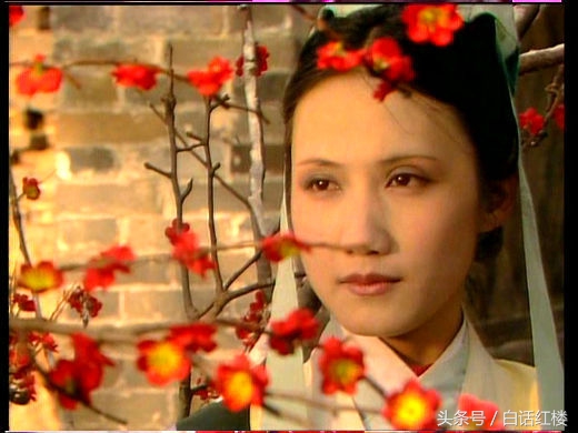 一句话形容红楼梦金陵十二钗,一句话红楼梦