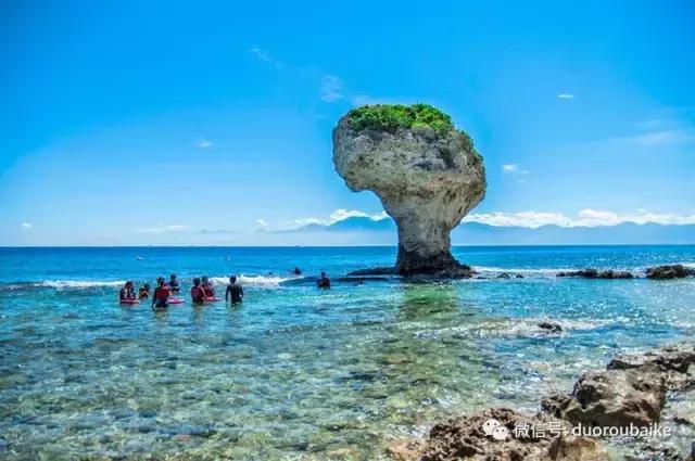 台湾寻肉之旅：小玲带你逛春节的台北花市！