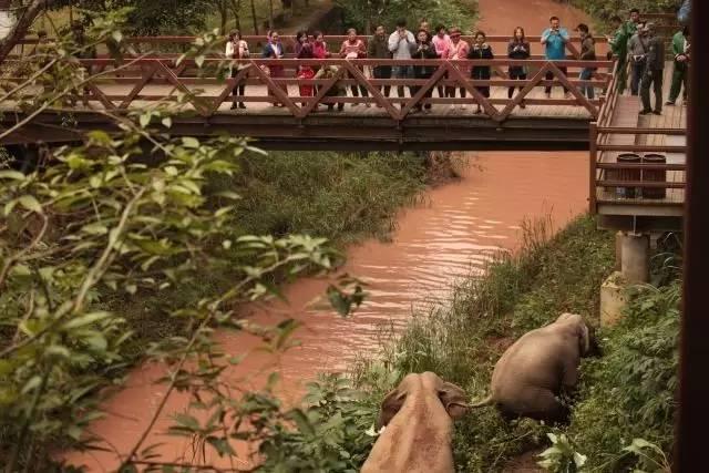 干货分享必读,干货探索与分享