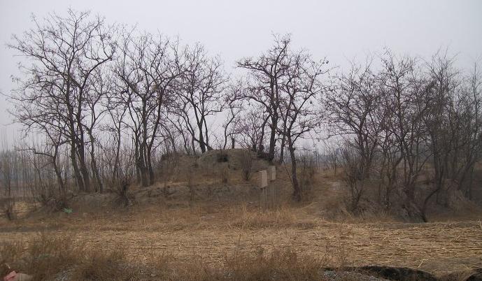 石油蠡县,石油小镇定兴