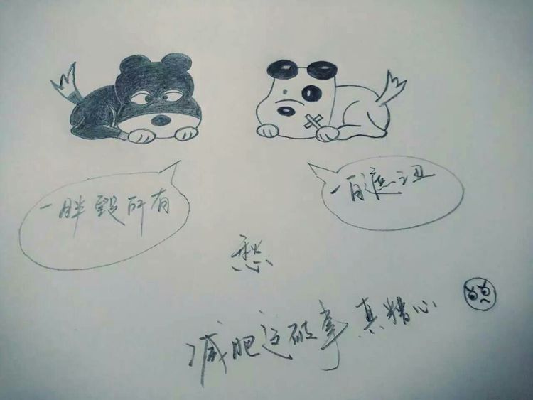 涂鸦的乐趣中班教案反思,涂鸦的乐趣完整版