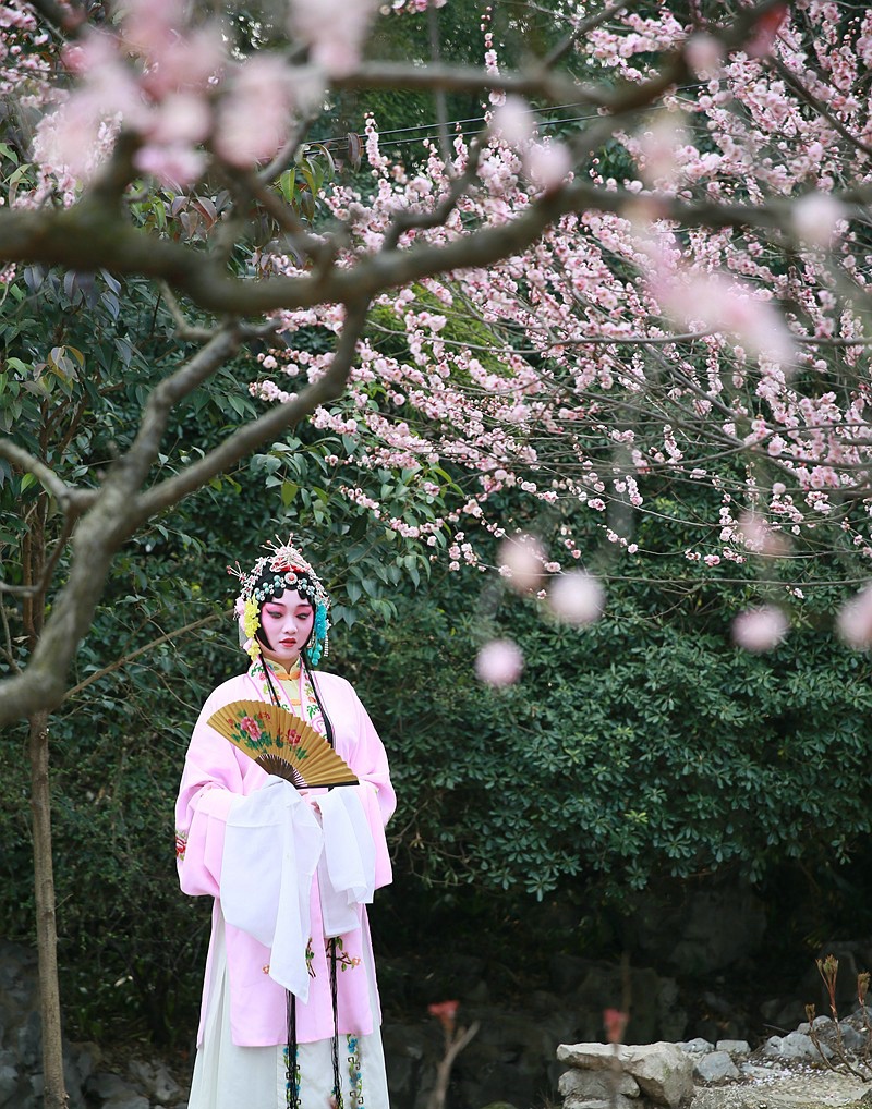 咏梅吟诵完整版,姜夔著名的咏梅诗