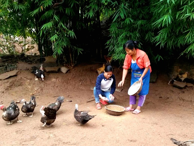 全球摄影网第十二届手机摄影大赛,2018年手机摄影大赛获奖作品讲解