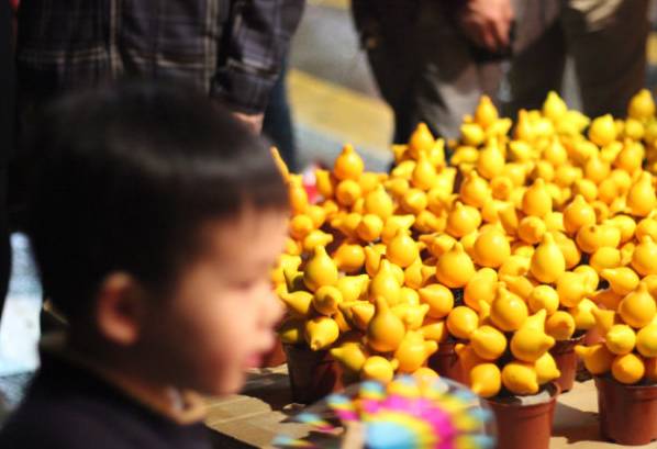 深圳春节花市主会场,逛深圳迎春花市