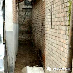 院长大搞翻新改造工程,院长翻天覆地的生活