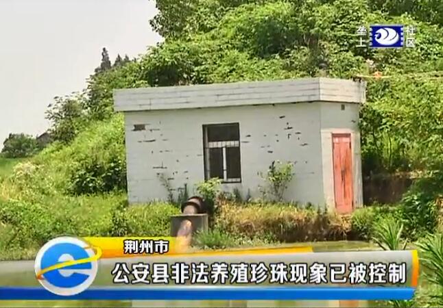 非法养殖被警方抓获,公安打击非法饲养