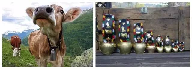 小编到了达沃斯,发现原来在瑞士可以买到这么多有创意的礼物丨文末有福利