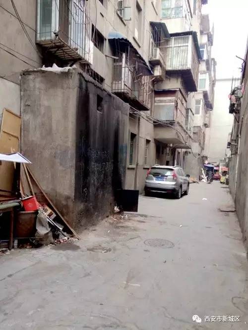 院长大搞翻新改造工程,院长翻天覆地的生活