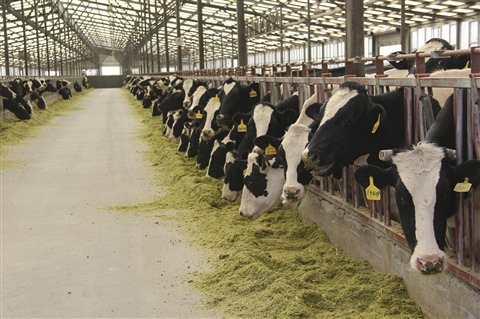 秀美山水风景画,秀丽脱俗的壮美画卷