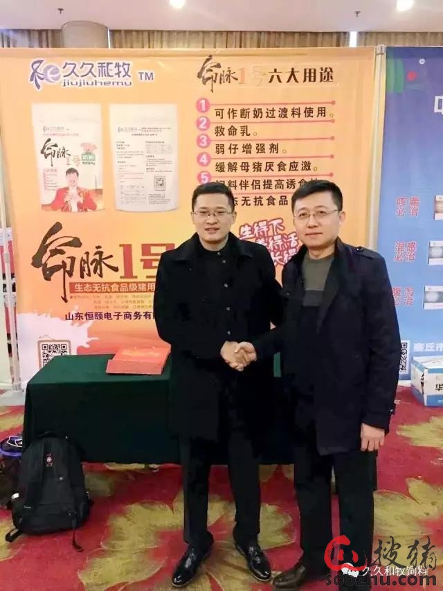 初闻沈念,初闻林夕