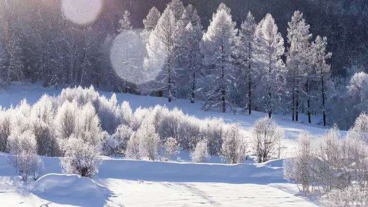 最新喀纳斯禾木视频,新疆喀纳斯禾木冬天视频