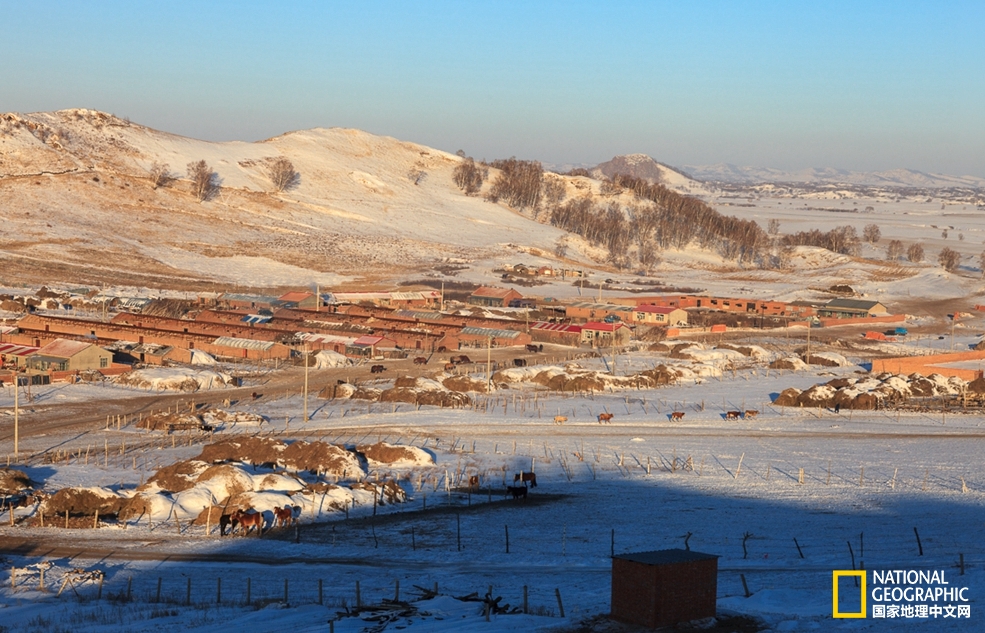 趁冬天还没有来临之前去一趟,一起到坝上去看雪