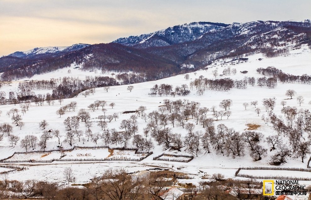 趁冬天还没有来临之前去一趟,一起到坝上去看雪
