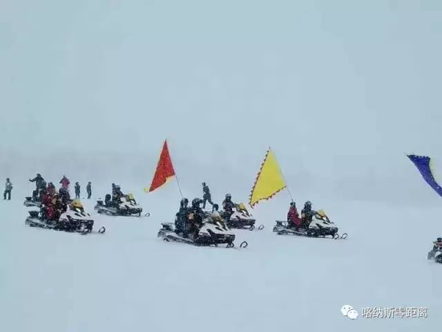 《爱游我拍》喀纳斯“寻狼记”开播追寻原始狼性魅力