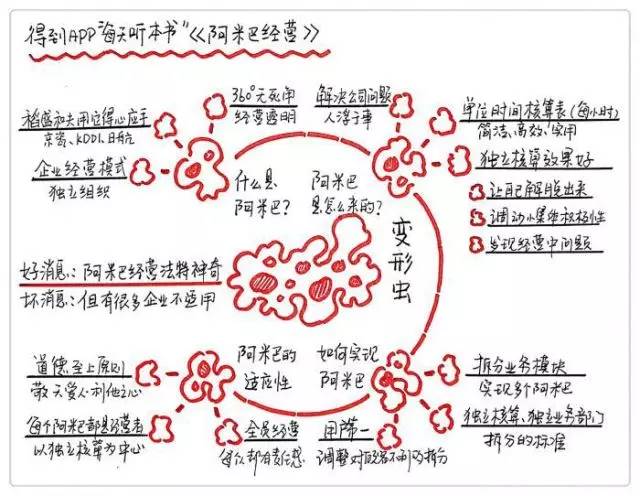 成都菜头帮网络科技有限公司,成都菜头帮