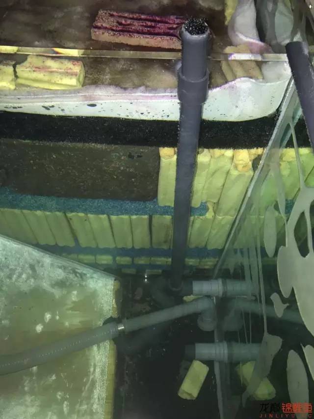 地缸里面漂浮的粉末怎么解决,粘的地缸怎么干得快