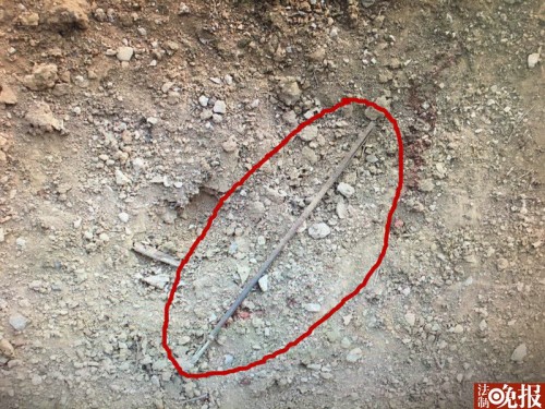 偷猎黑猪被刑拘,夫妻俩非法狩猎8头野猪被判刑