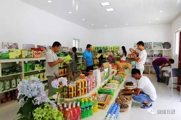 陇南市凝心聚力砥砺前行,陇南奋进新时代