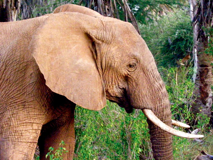 西双版纳从下飞机开始的攻略,进入西双版纳的视频