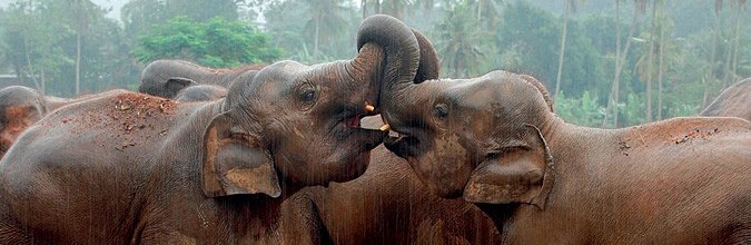 西双版纳从下飞机开始的攻略,进入西双版纳的视频