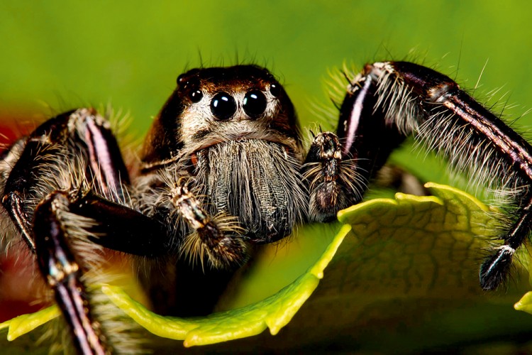 西双版纳从下飞机开始的攻略,进入西双版纳的视频